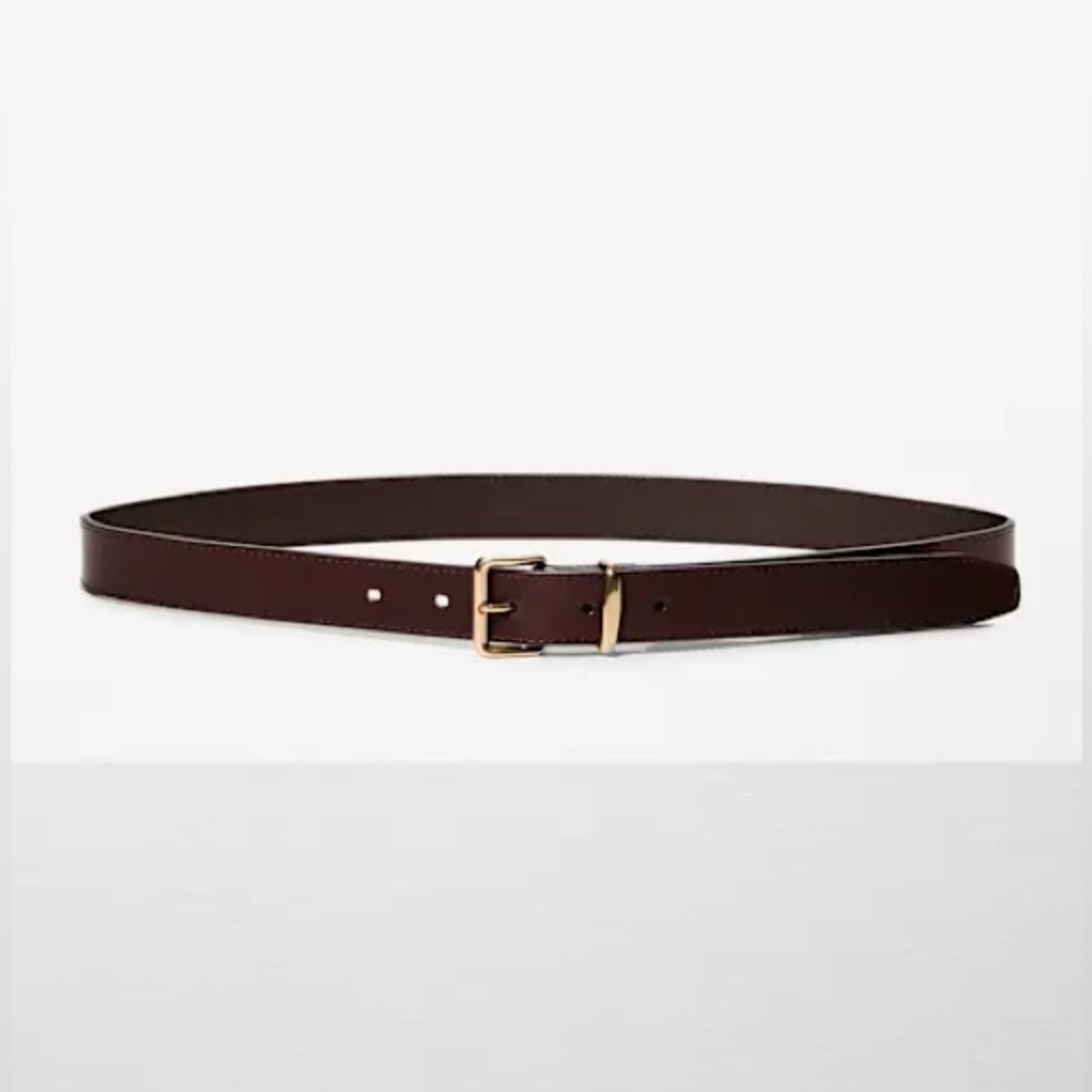 Aritzia Dark Brown Leather Belt with Solid Brass Buckle